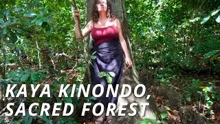 KAYA KINONDO SACRED FOREST, Kenya : Where spirits inhabit the trees