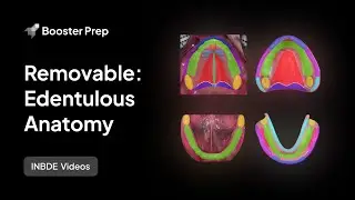Prosthodontics | Removable: Edentulous Anatomy | INBDE, NDEB, ADAT