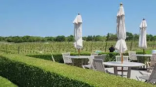 8K Wolffer Estate Vineyard Sagaponack NY  Long Island NY May 29, 2023