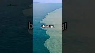 Mind Blowing Ocean Facts That Will Leave You Speechless! #sciencesecrets #mindblowingfacts #facts