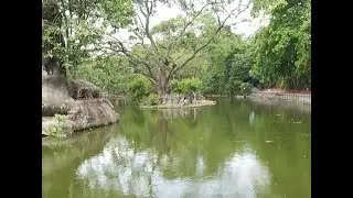 Biodiversidad y especies en peligro de extinción en El Salvador