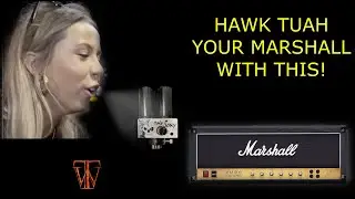 Mr Scary Modded Marshall JCM800