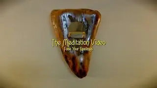The Meditation Video: Face Your Feelings