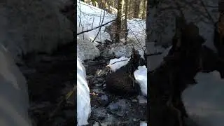 Soothing water splash sound