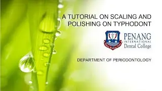 A TUTORIAL ON ULTRASONIC SCALING AND POLISHING ON TYPHODONT