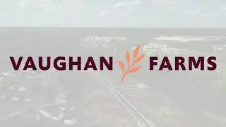 Vaughan Farms in Angier, NC | Mattamy Homes in Raleigh, NC