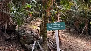 Stevens Reserve Trail #LordHowe #Hike #GoPro #🌳