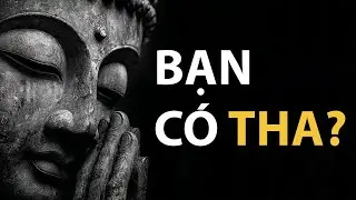 Tha Thứ Kẻ Thù Cũ – Con Đường Dẫn Đến Giải Thoát Nội Tâm Thực Sự