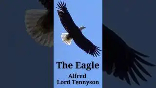 Alfred Lord Tennyson | The Eagle | Poetry Reading