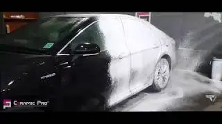 Toyota Camry | Ceramic Coating 9h | Team Veelog
