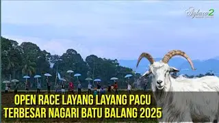 Lomba Layang Layang Pacu Terbesar 2025 Nagari Batu Balang Rebut Hadiah Bupati Lima Puluh Kota