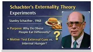 4. Externality Theory Experiments_Obesity