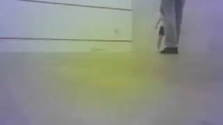 MOV00251