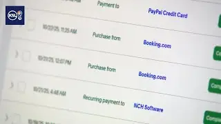 PayPal user fights for his money back after he said a hacker racked up fraudulent charges