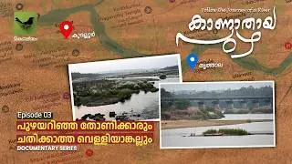 The Missing River - 3 | Documentary Series | The Boatmen Who Knew the River and the Silver Stone That Didn't Cheat