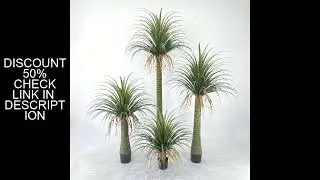 Simulation Dragon's Blood Tree Nordic Wind Yucca Tree Potting Room Fake Green Ornaments Shooting Pro