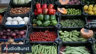 Can Fiber Detoxify Your System?