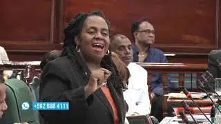 Budget 2019 Debate -  Hon. Gillian Burton Persaud