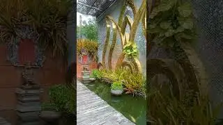 ,Botanic garden