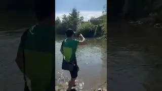 păstrăv curcubeu de 46 de centimetri...