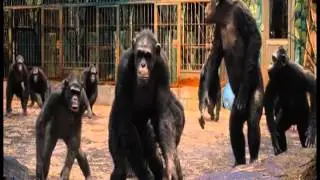 Rise of the Planet of the Apes Music Video