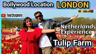 Budget trip,Place for Bollywood songs picturizations.Tulip farm near #london #tulips #bollywood