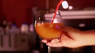 De IJsvogel zomer reclame 2023 | Story Studio