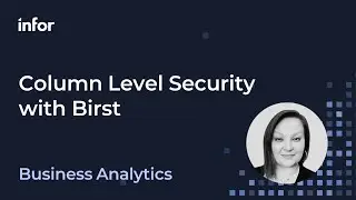 Setting up Column Level Security in Infor Birst