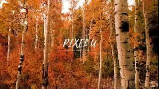 PIXEL U II A Digital Diaries Journey II Vlog Channel II
