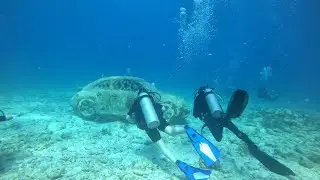 Scuba Diving MUSA Canc&uacute;n