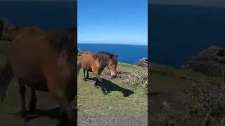 Cornwall