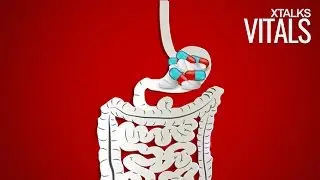 Extended-Release Pill Attaches To GI Lining For Prolonged Drug Delivery