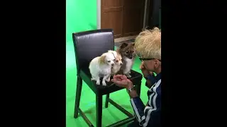 WHAT IS YOUR PET THINKING with Murray & Dani on Fox MORE Show! www.murraymagic.com