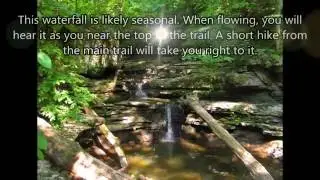 Bucks Pocket State Park Introduction Video