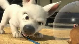 BOLT MEET RHINO