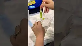 How to make algae beads. #nsta #science