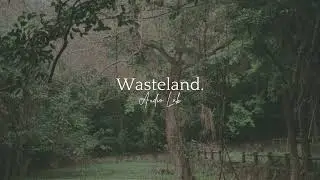 Playlist | Wasteland