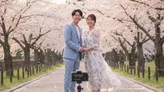 桜のフレームに君と　With you in a cherry blossom frame