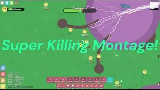 Super Killing Montage! Florr.io