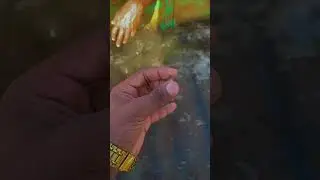 Hidden in the Mud&hellip; Until Now 😳💎 | Real Gem Found in Sri Lanka 🇱🇰 | Ceylon Gem Mining
