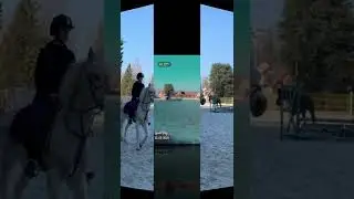 Je vous mes poneys 🤩🐴