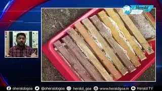 HONEY BEE FARMING: Sattari farmers highlights the medicinal benefits & economic boost