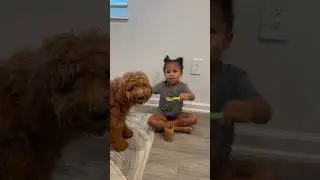 Dad Caught Daughter Feeding Dog Peanut Butter #shorts