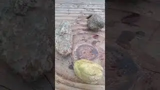 New find three Varisite and one Opal all these are Gems that used in jewellry snd carvings.