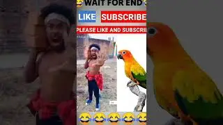 GAdhe ka gobar khale katia 😂😜   joytimisty joytimisty comedy joytimisty remix comedy shorts