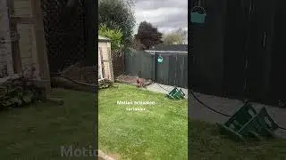 Well the neighbours cat won&rsquo;t be pooping in my garden anymore