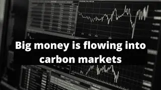 Big Money flowing into Carbon Markets | Carbon Credit Investing 2021