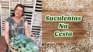 COMO MONTAR UMA CESTA COM SUCULENTAS!