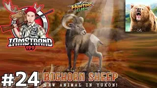 New Aninal: Bighorn Sheep - Hunting Clash Gameplay Ep24