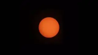The Micro Scope | The Sun